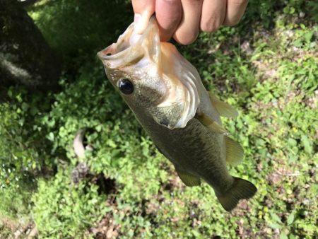 津風呂バス！！