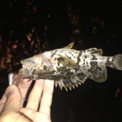 爆風でも釣れました!