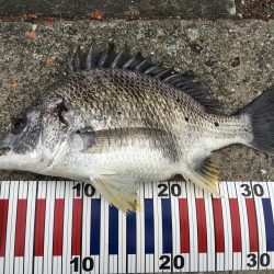 家族で投げ釣り