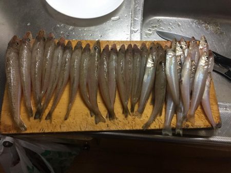 釣りシーズンスタート