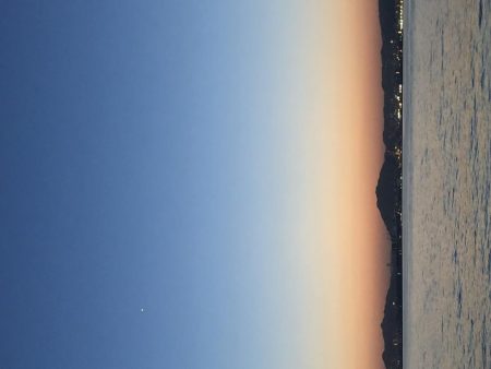 夕方からちょろっと。