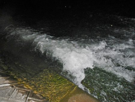 シーバス狙いが