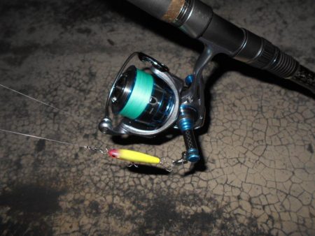 5/18バチ抜け調査。