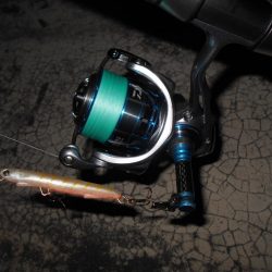 5/21バチ抜け調査。