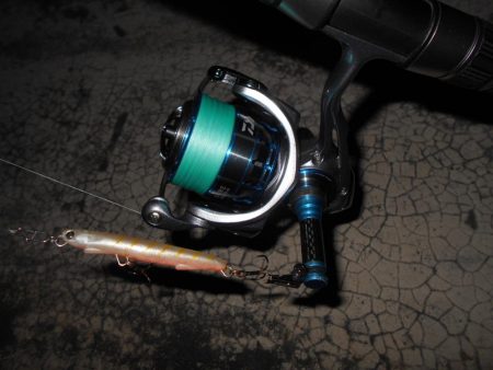 5/21バチ抜け調査。