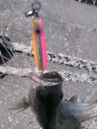 しばらくぶりだよ停泊船ゲーム