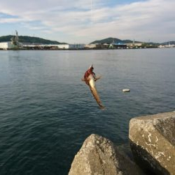 ライトワインドゲーム