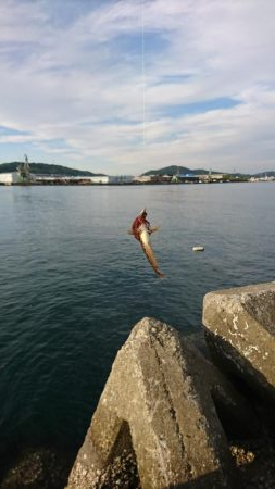 ライトワインドゲーム