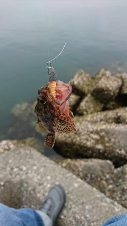 ライトワインド