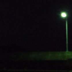 雨上がり後のライトゲーム