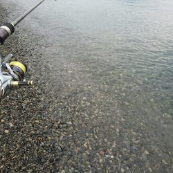 日中のサーフでキロアップGET