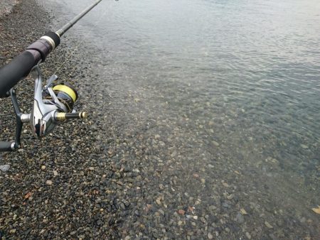 日中のサーフでキロアップGET