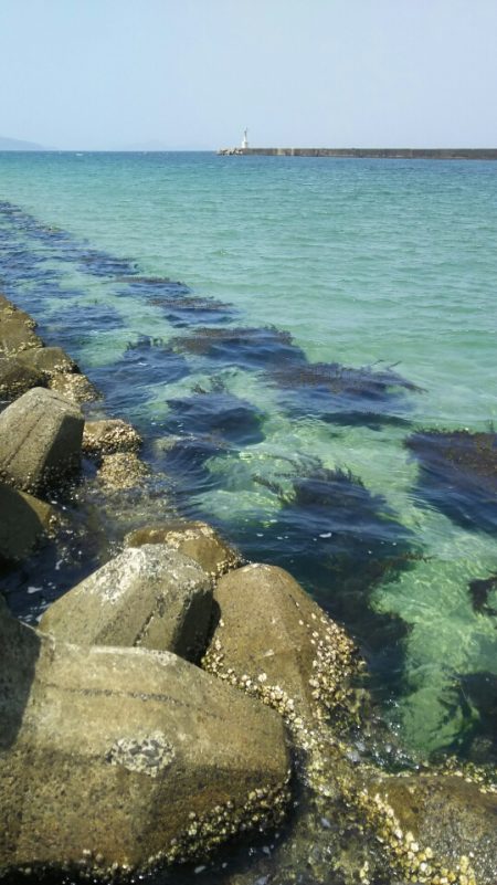 【芦屋漁港】 キス年始め調査 (サーフ＆テトラ）