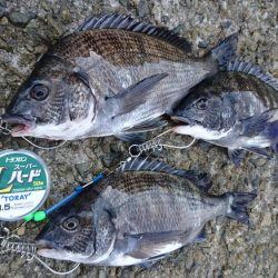 ゴールデンウィーク釣行2日目