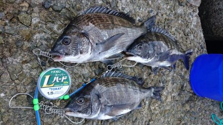 ゴールデンウィーク釣行2日目