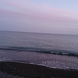 浜からのナブラ打ち