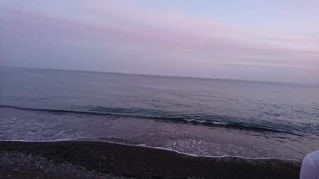 浜からのナブラ打ち