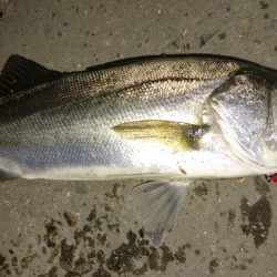 なんかイマイチ