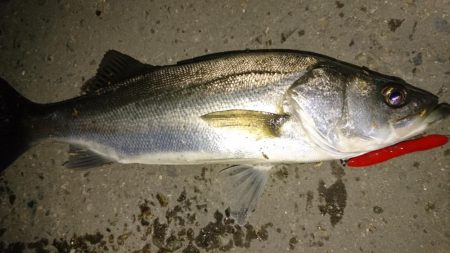 なんかイマイチ