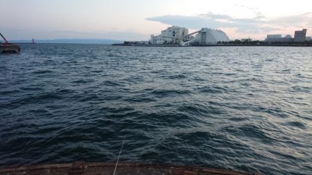 穴子の天ぷらが食べたくて