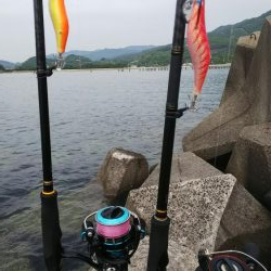 teamゲッソー調査隊