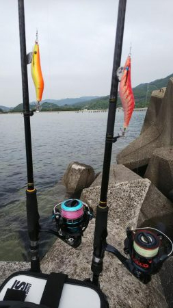 teamゲッソー調査隊