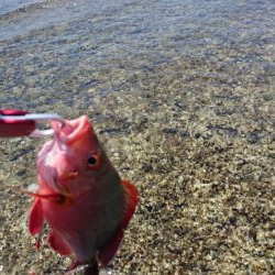 リーフエンドでルアーフィッシング