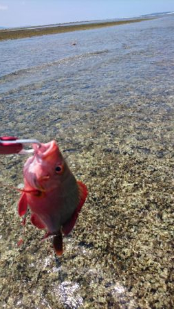 リーフエンドでルアーフィッシング