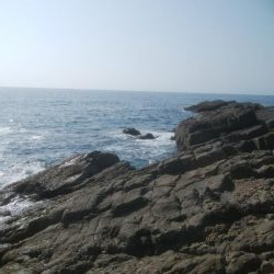 グレ釣り　キス釣り　メバリンク　エギング