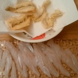 今年初キスがデカい！