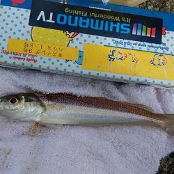 ＧＷラスト釣行