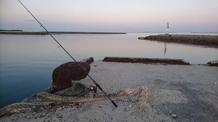 激シブです。オキフエダイ