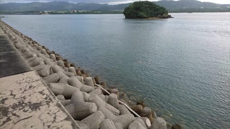 カライワシです。