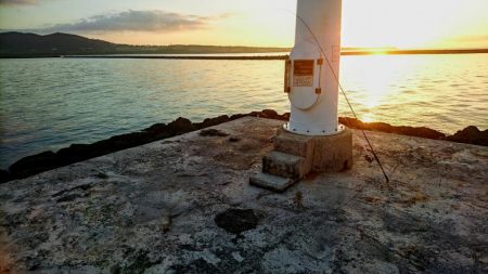 ロウニンアジはピンクカラーがお好き