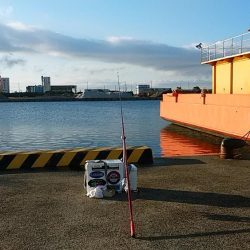 志筑周辺のキス釣り