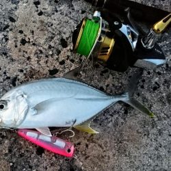 メッキ5バイトで2キャッチです。