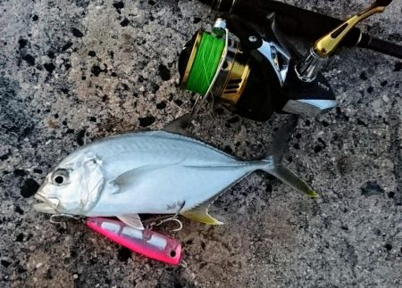 メッキ5バイトで2キャッチです。