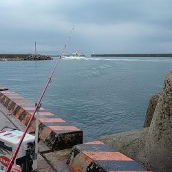 雨の東二見でキス狙い