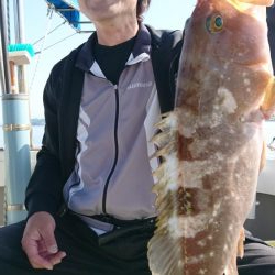 遊漁船110番釣果