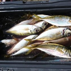 ボートアジング