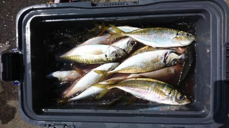 ボートアジング