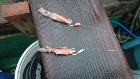 アカムツ  江見港稲荷丸