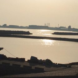 初キス釣れました〜