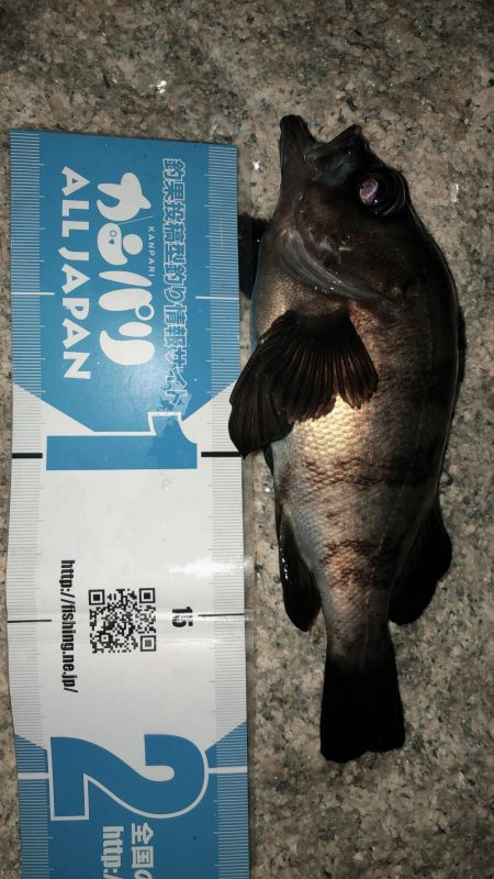 まだまだメバリング