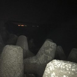 いつものナイトゲーム