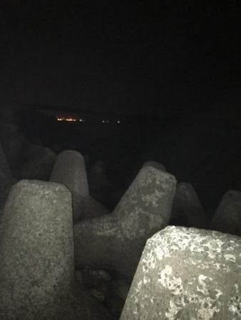 いつものナイトゲーム