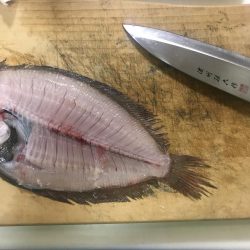 ショアジギング