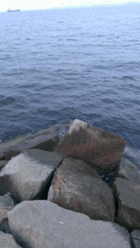 芦屋のグレ開幕戦