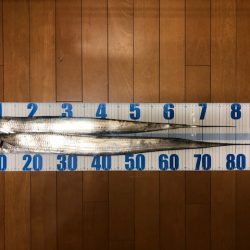 和歌山ワインド