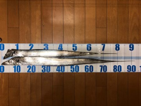 和歌山ワインド